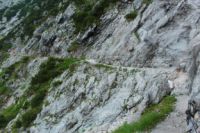2014-07-24_OsterfelderKopf (316).JPG